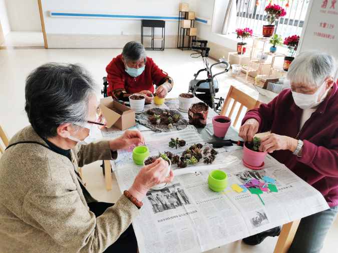 图一：第三护养中心多肉种植活动 1.jpg