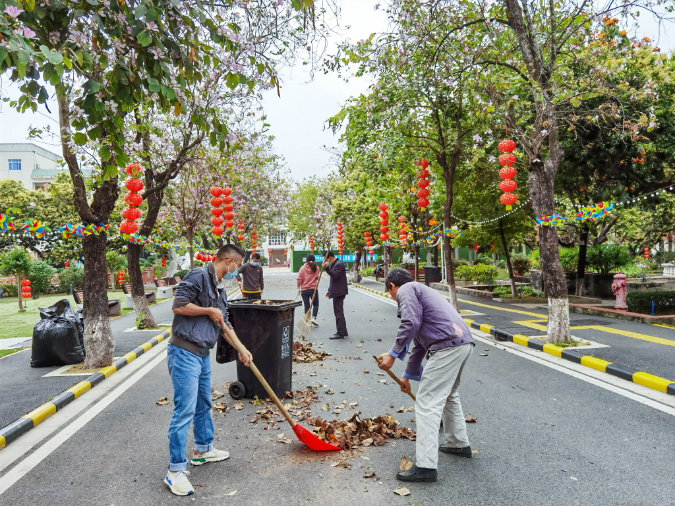 图5：干部职工合力清扫地面枯枝落叶.jpg