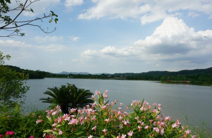 竹洞湖.jpg